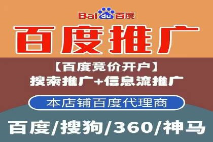 百度推广竞价全解析：某电商平台的营销策略